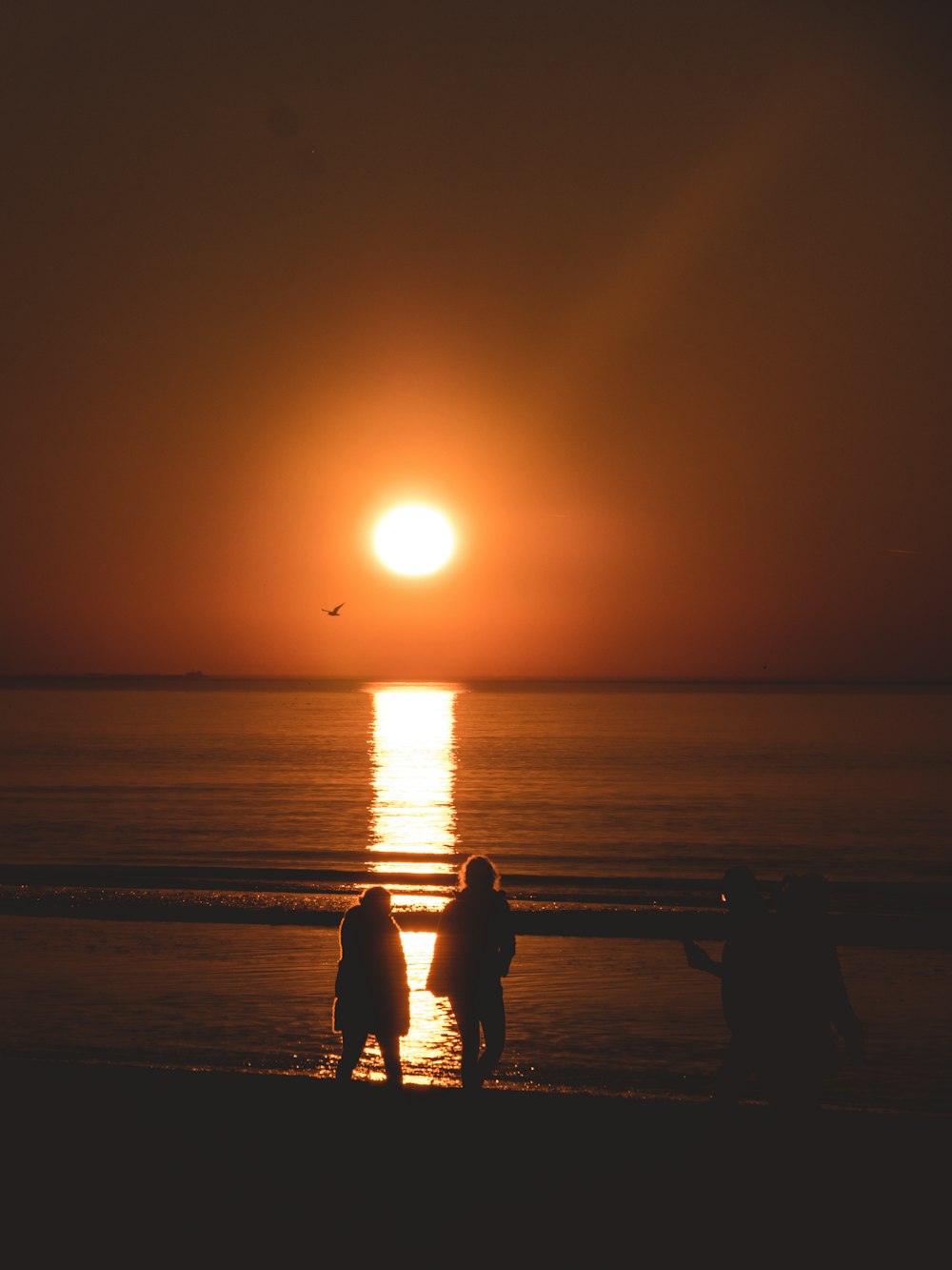 two person standing on shore