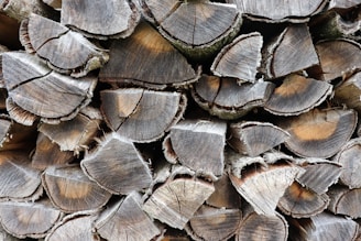 A pile of neatly stacked firewood with visible tree rings and rough, textured surfaces. The wood appears aged, with some pieces having cracks and a grayish-brown color.
