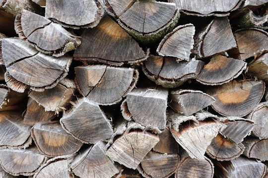 A pile of neatly stacked firewood with visible tree rings and rough, textured surfaces. The wood appears aged, with some pieces having cracks and a grayish-brown color.