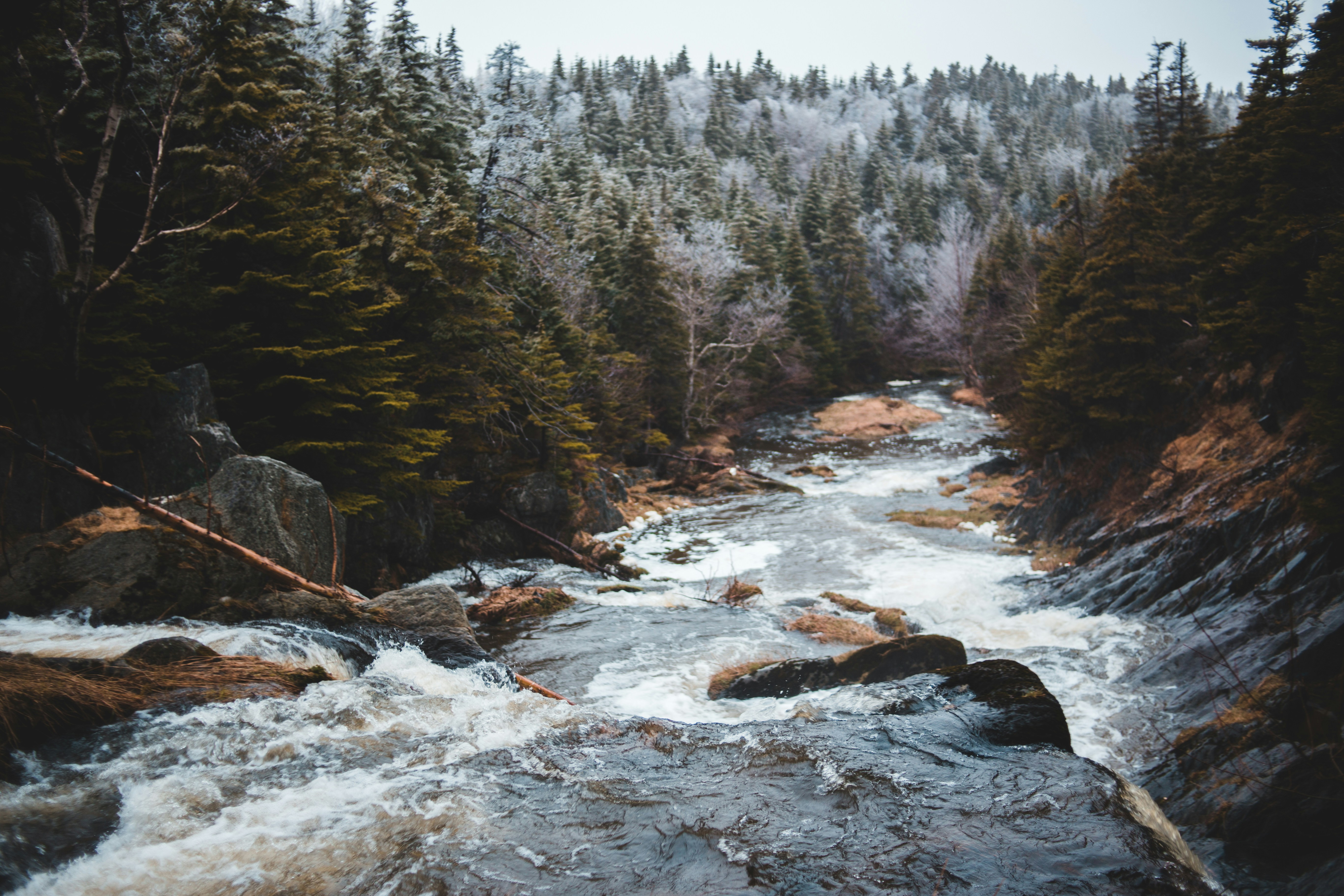 Photo by introspectivedsgn