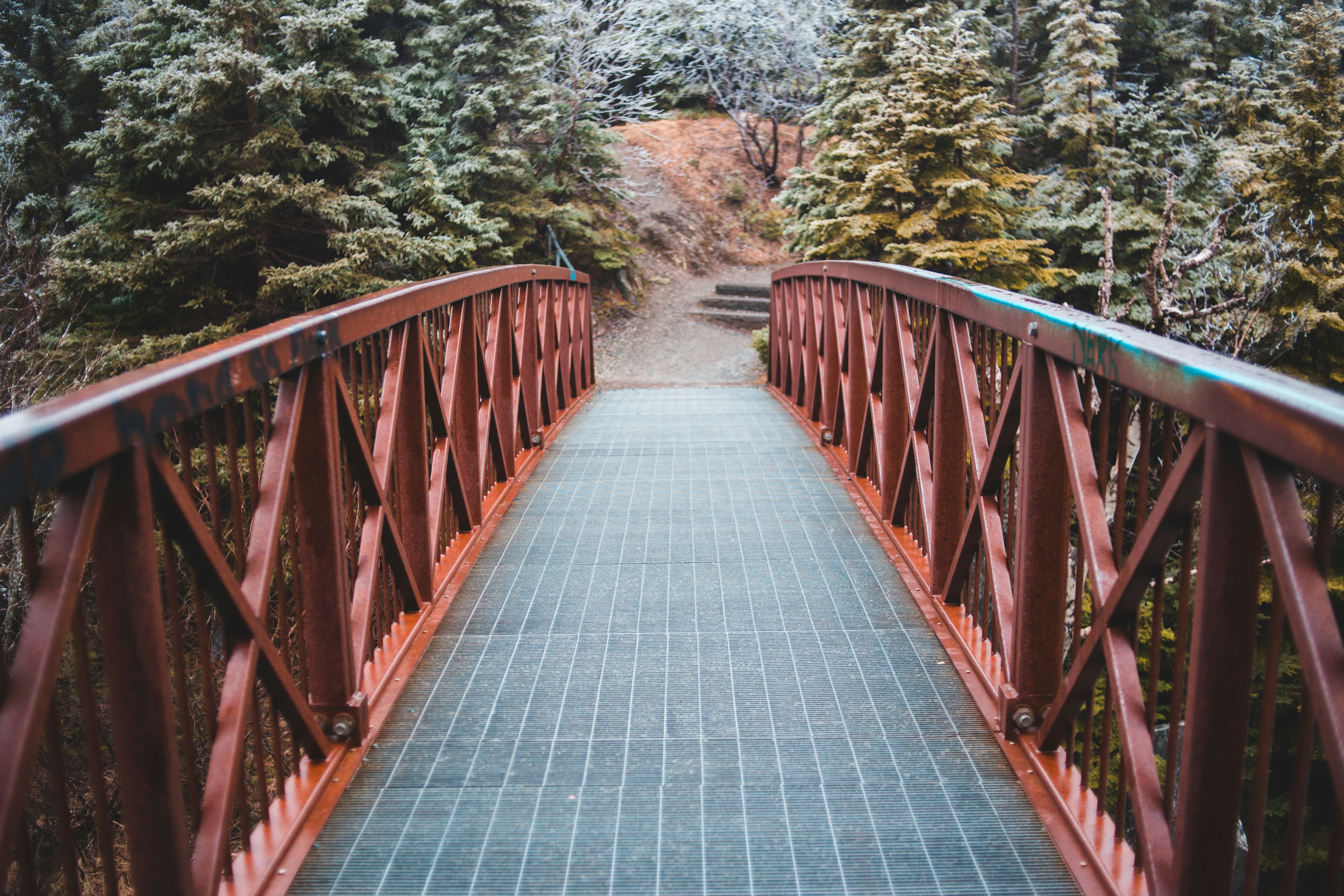 Photo by introspectivedsgn