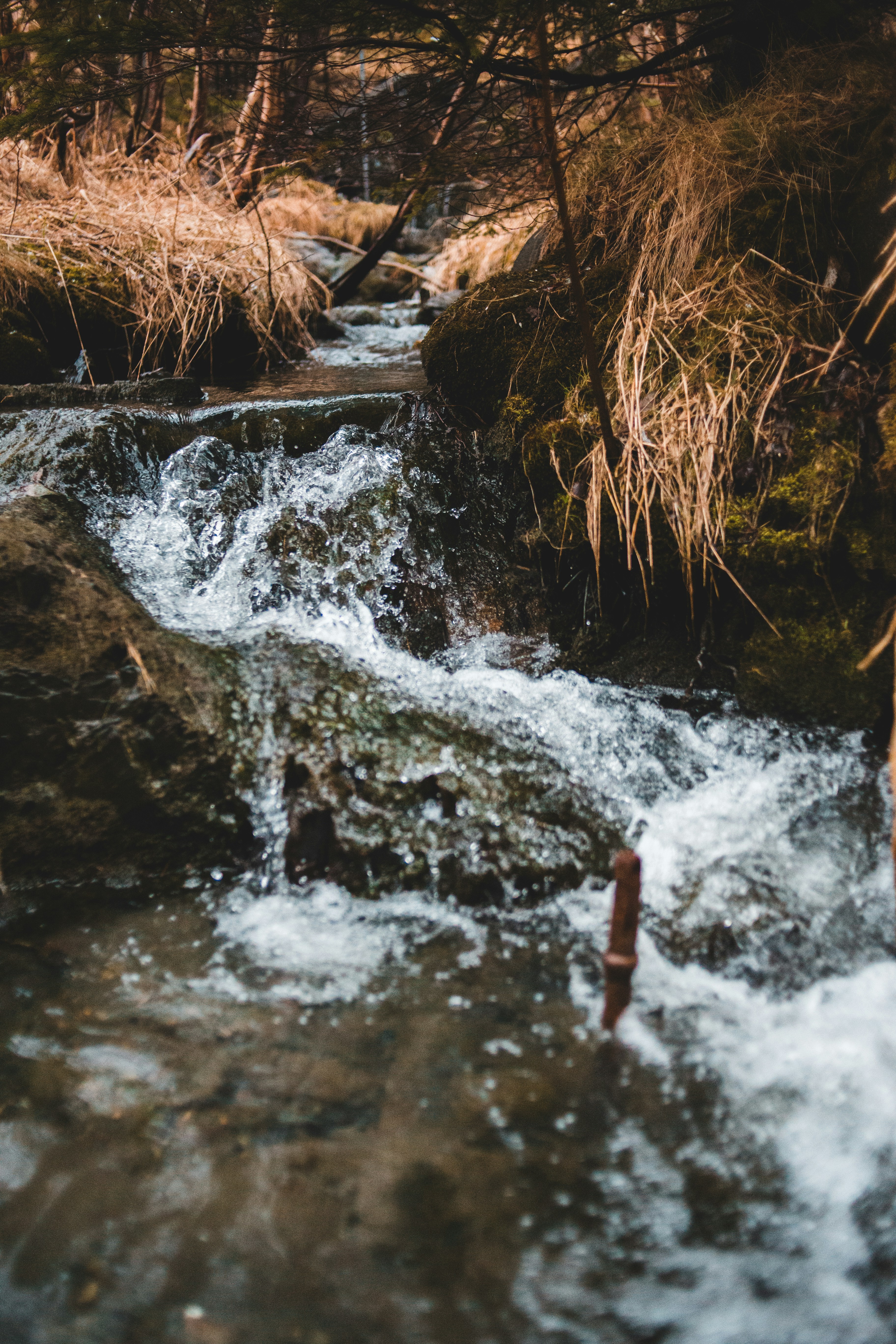 Photo by introspectivedsgn