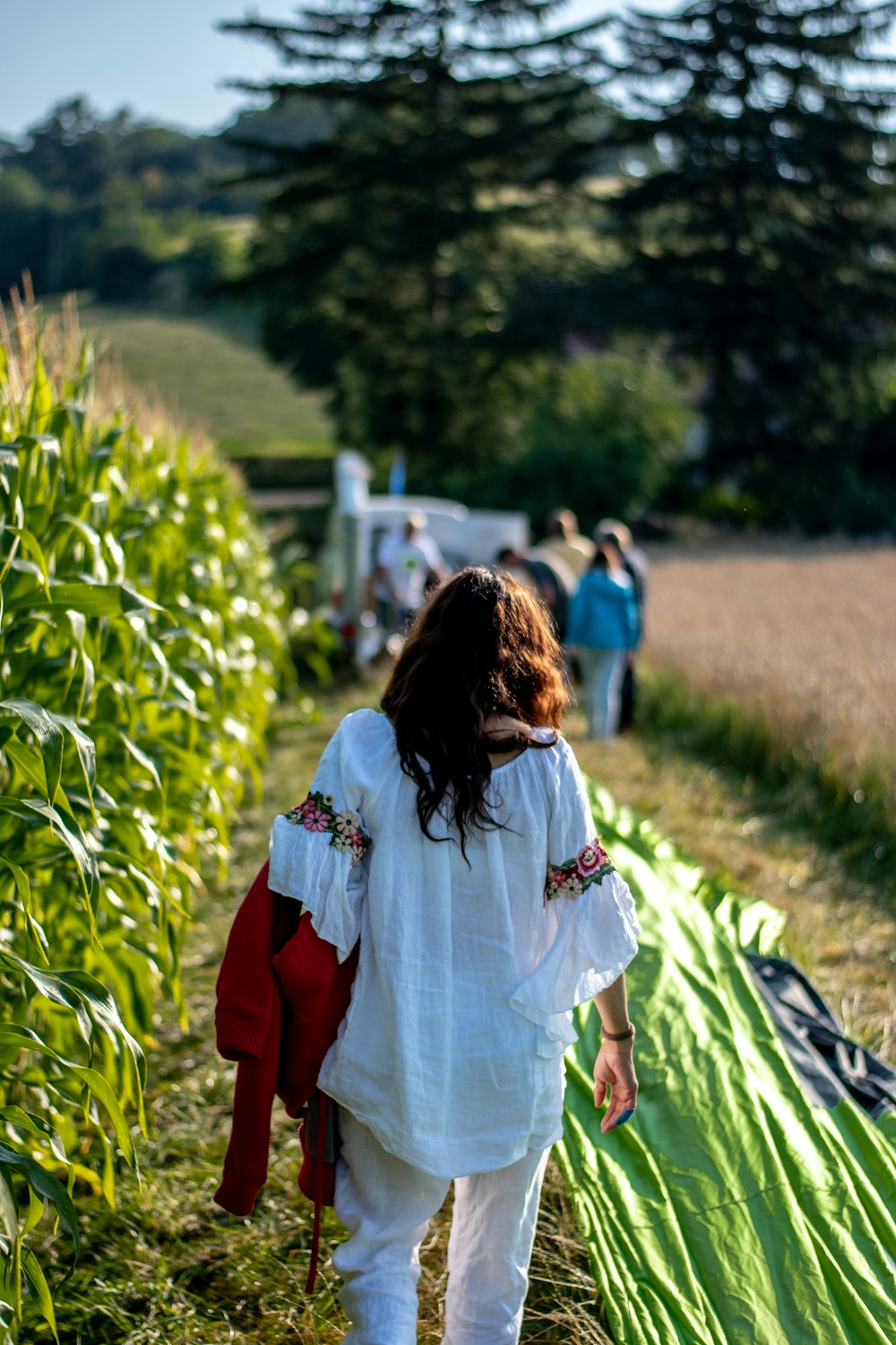 woman beside corn field