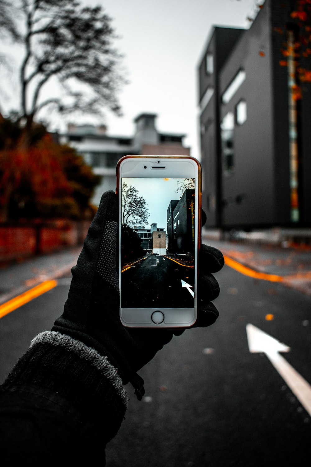 person holding iPhone