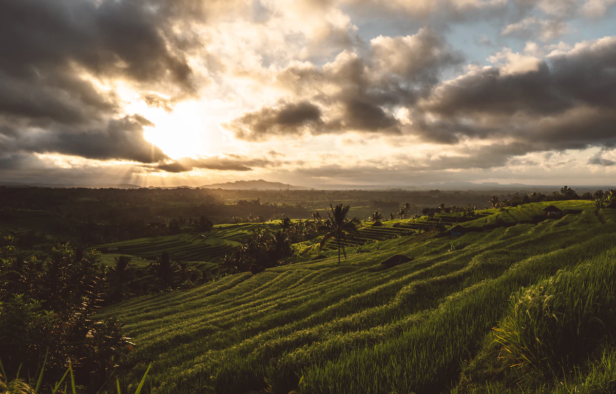 Scenic highlights of Descent into the Pakerisan Ravine & Gunung Kawi Royal Memorials in Tampaksiring, Ubud