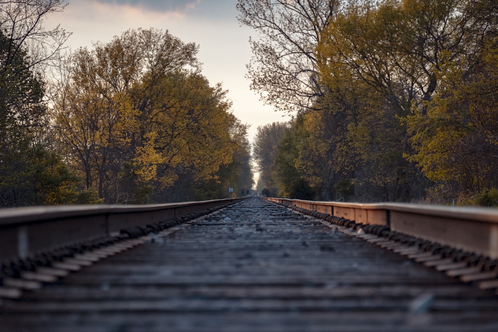 Foto de primer plano del riel del tren