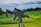 A black rifle equipped with a scope is mounted on a tripod, positioned in a lush green field with trees in the background. The sky above is cloudy, suggesting overcast weather.
