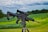 A black rifle equipped with a scope is mounted on a tripod, positioned in a lush green field with trees in the background. The sky above is cloudy, suggesting overcast weather.