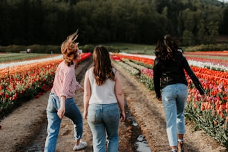 thee women walking between orange flower field