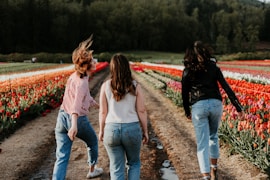 thee women walking between orange flower field