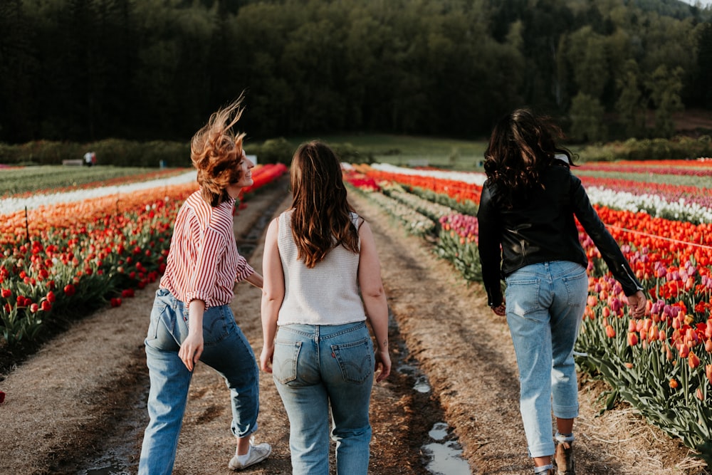 thee women walking between orange flower field