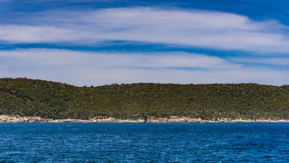 a large body of water surrounded by trees