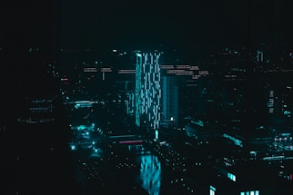 aerial photography of city during night