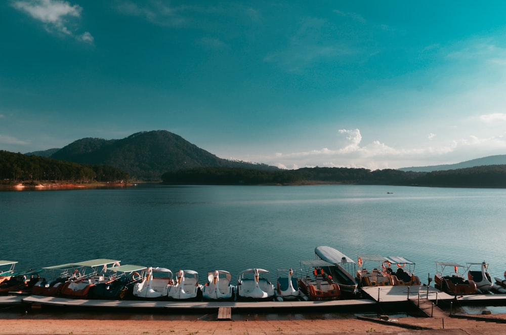 boats on calm body of water