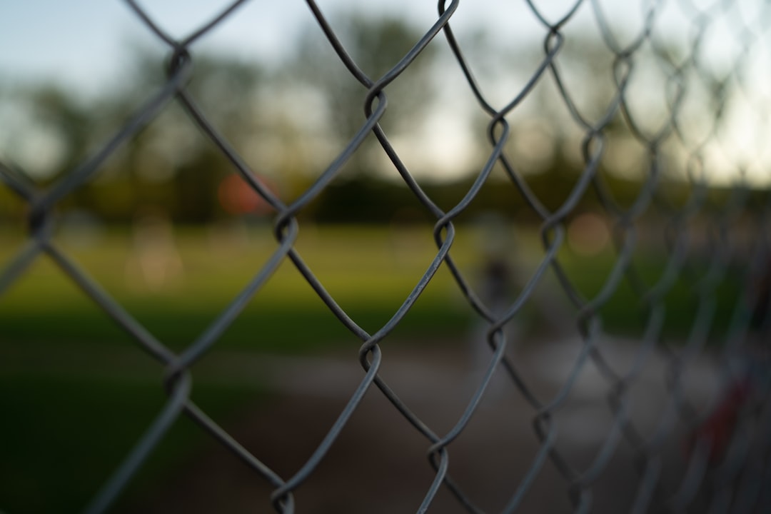 close-up photography of black linked wire fence