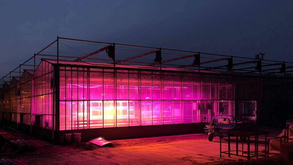 pink lighted greenhouse