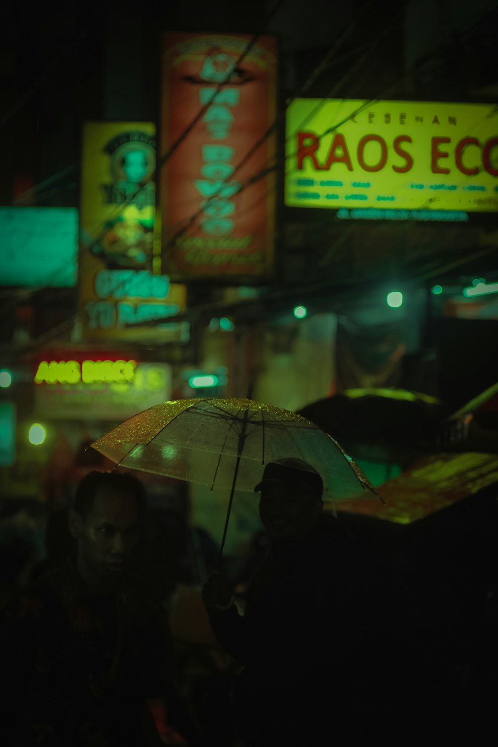 person holding transparent umbrella