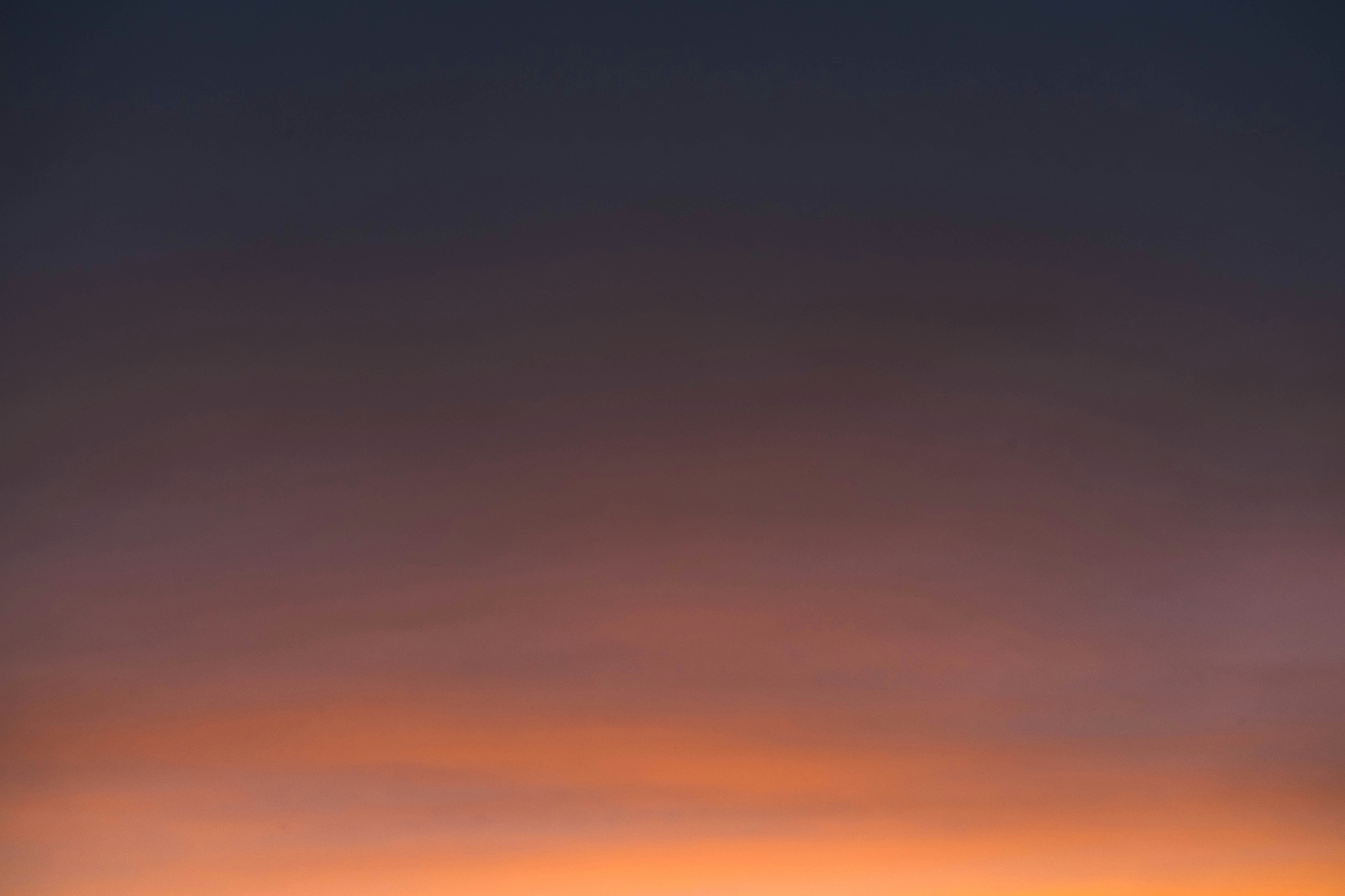 Photo by virussinside