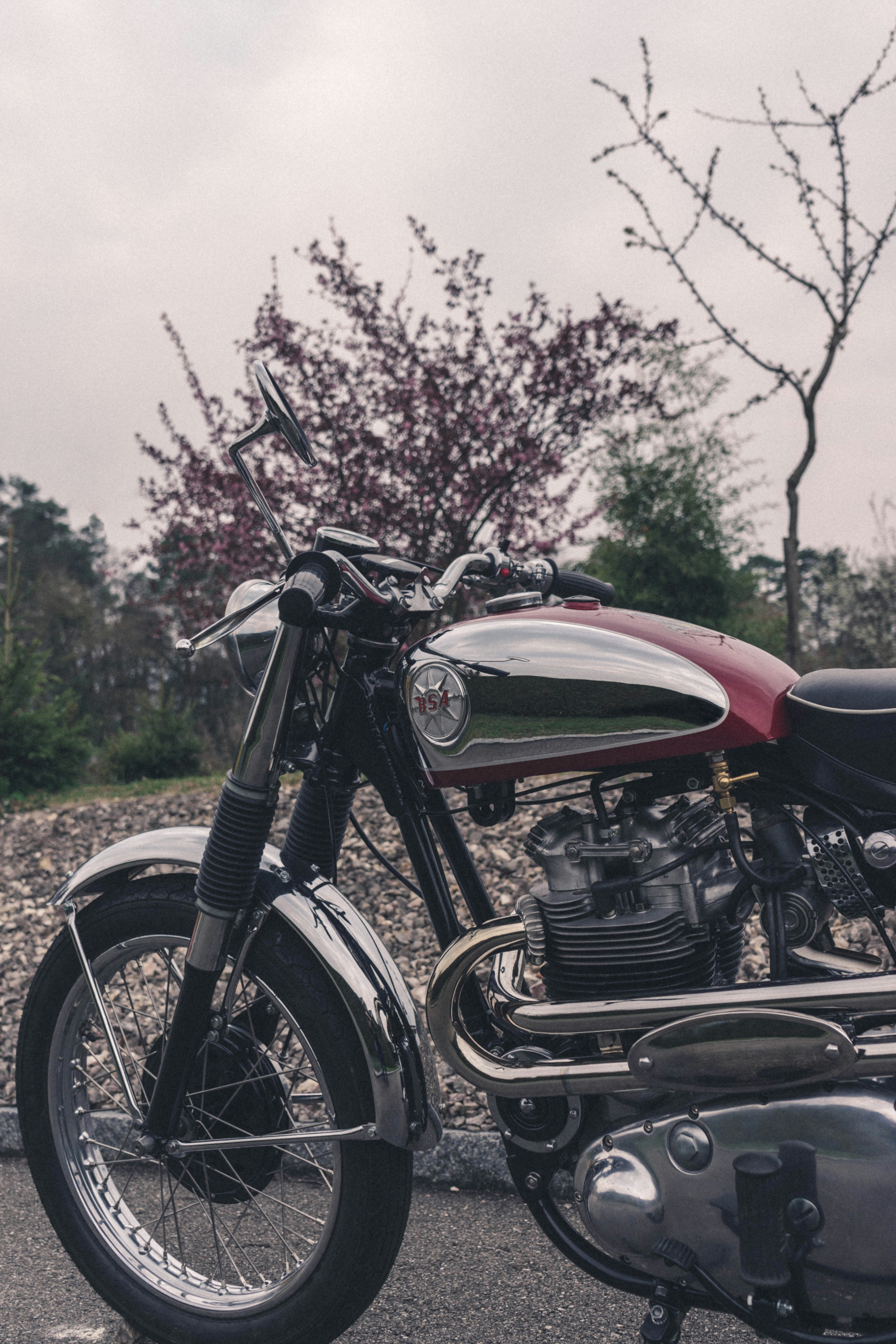 Photo by virussinside