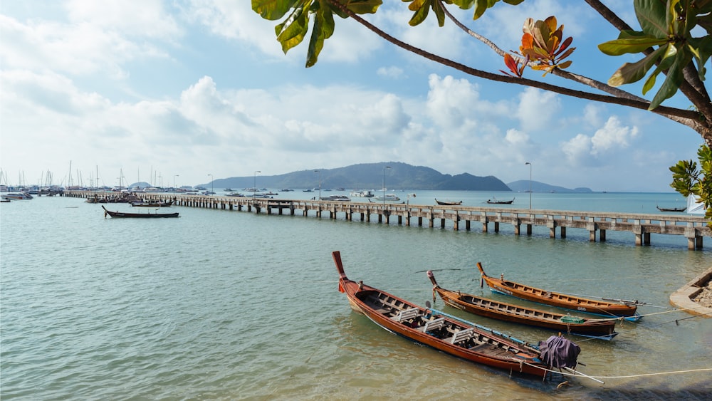 boats on seashore