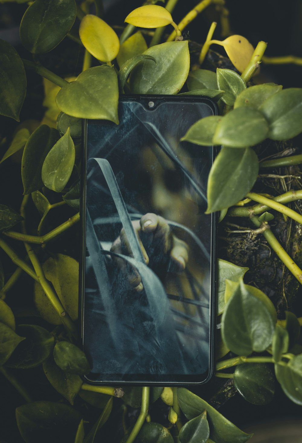 a cell phone sitting on top of a plant