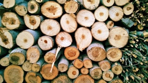 Maple Wood Sheets