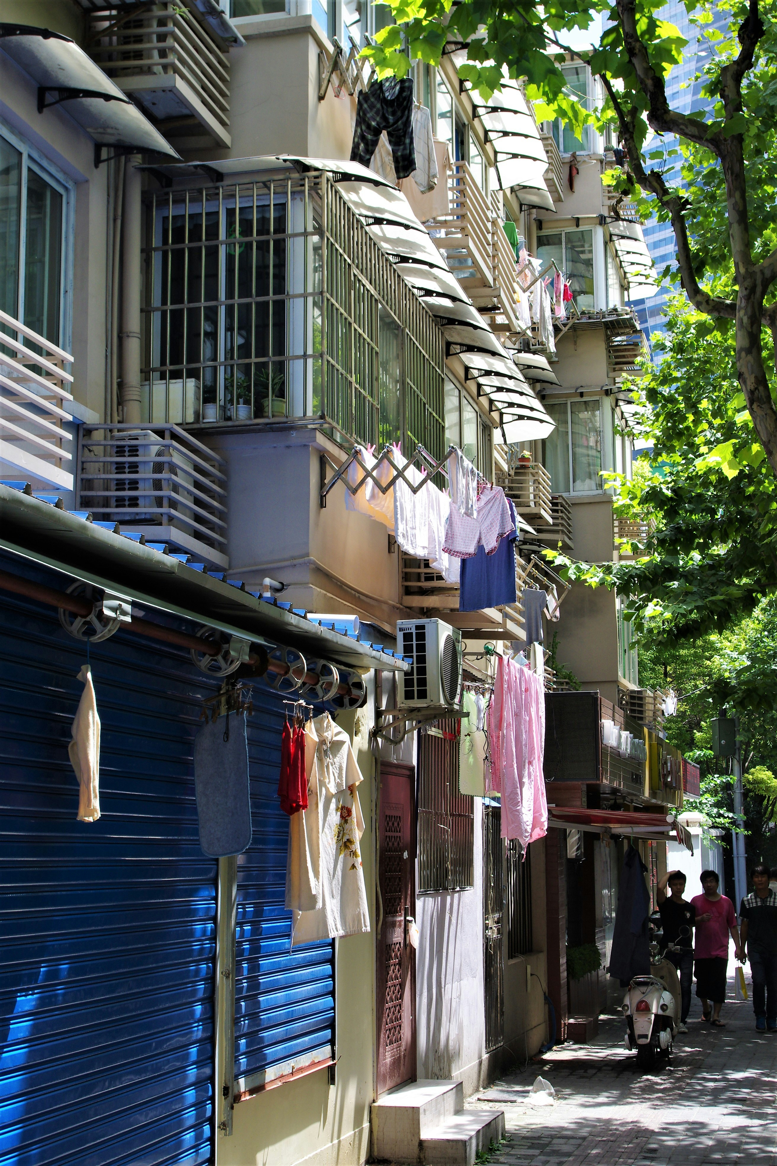 Photo by icehoundphotography