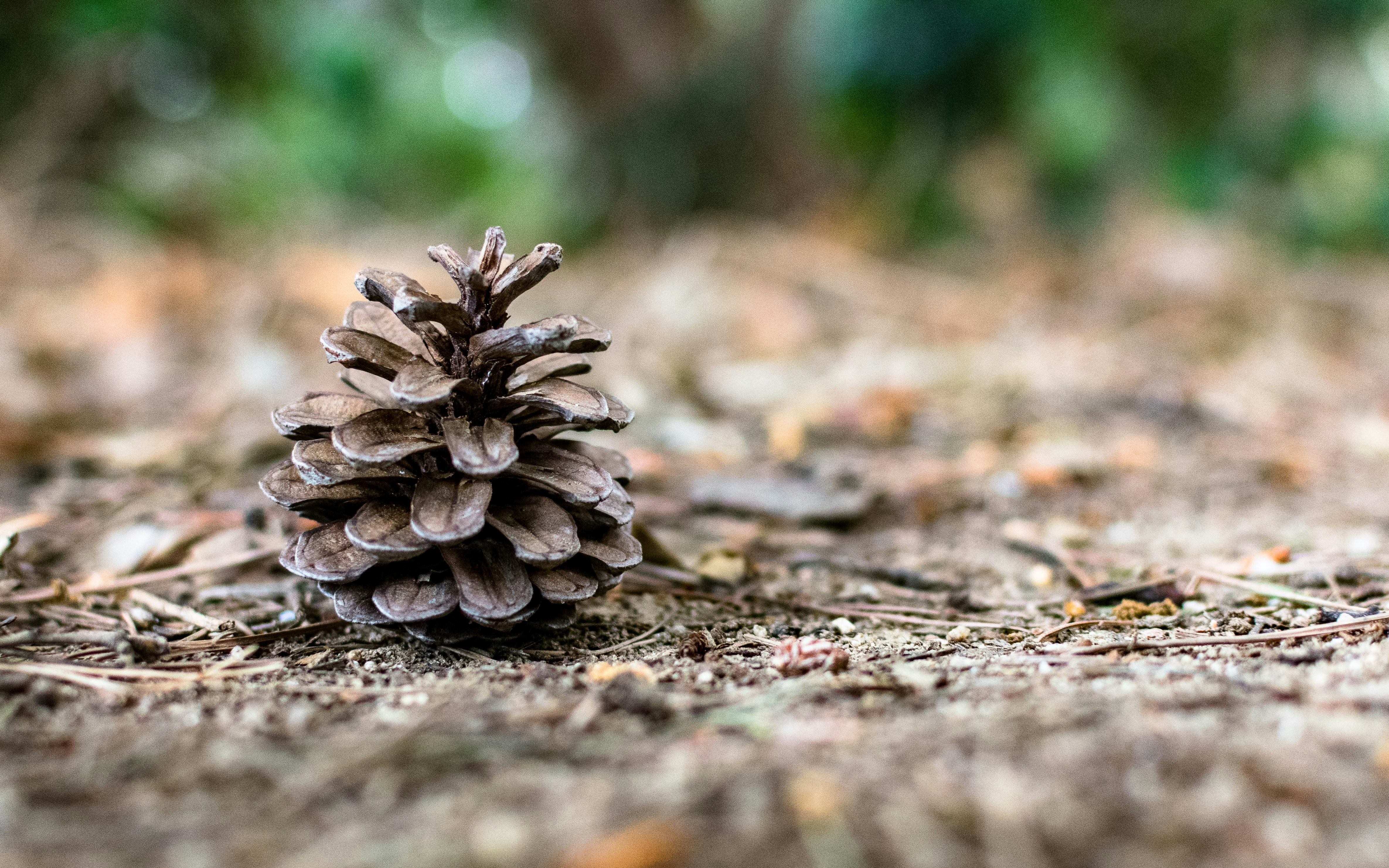 Photo by socialmediafoto