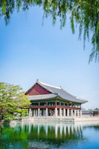 A traditional Korean building with a curved roof stands on the edge of a reflective pond, surrounded by lush greenery. The clear blue sky provides a serene backdrop, while willow branches hang gracefully at the top.