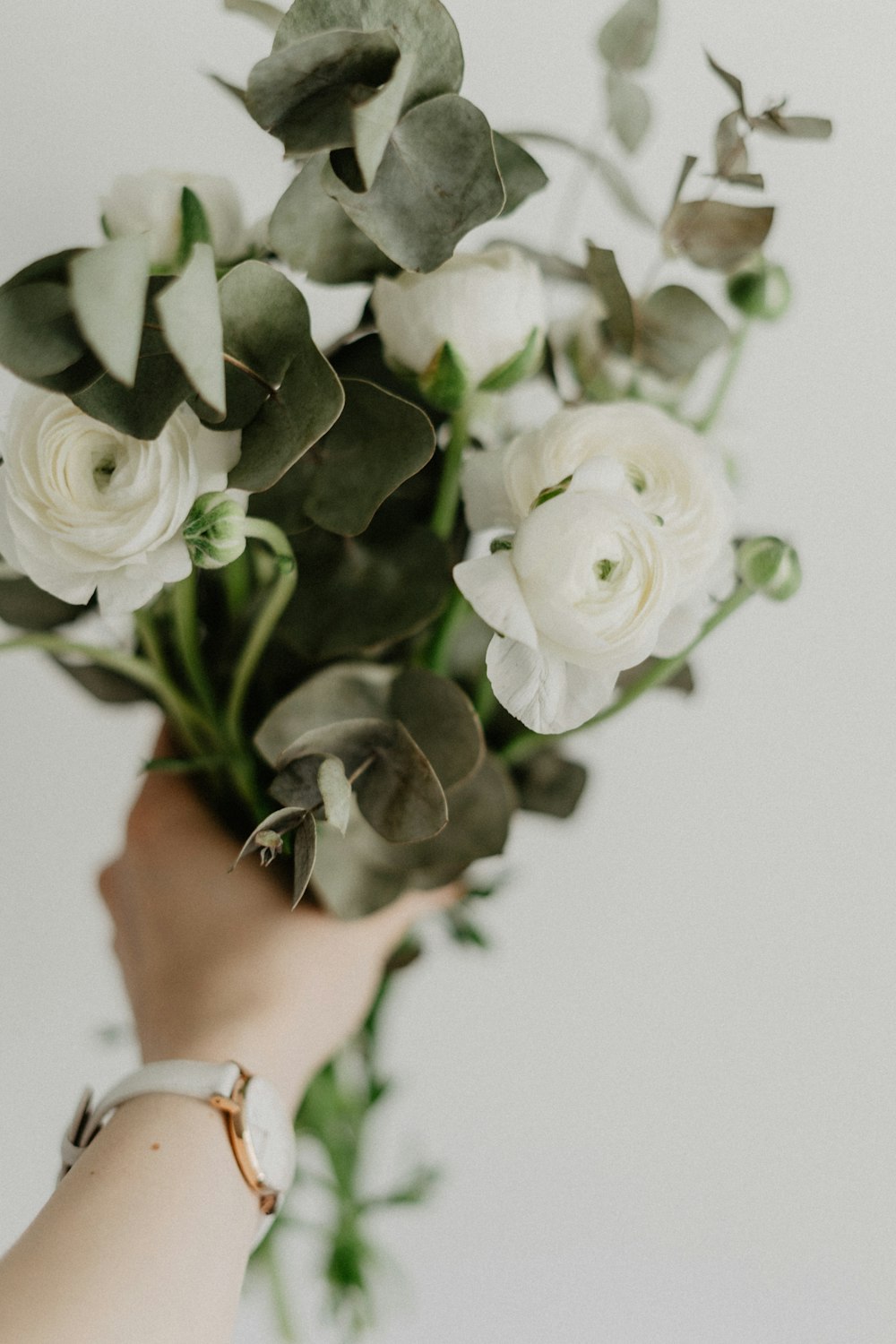 person holding white rose with green leaves