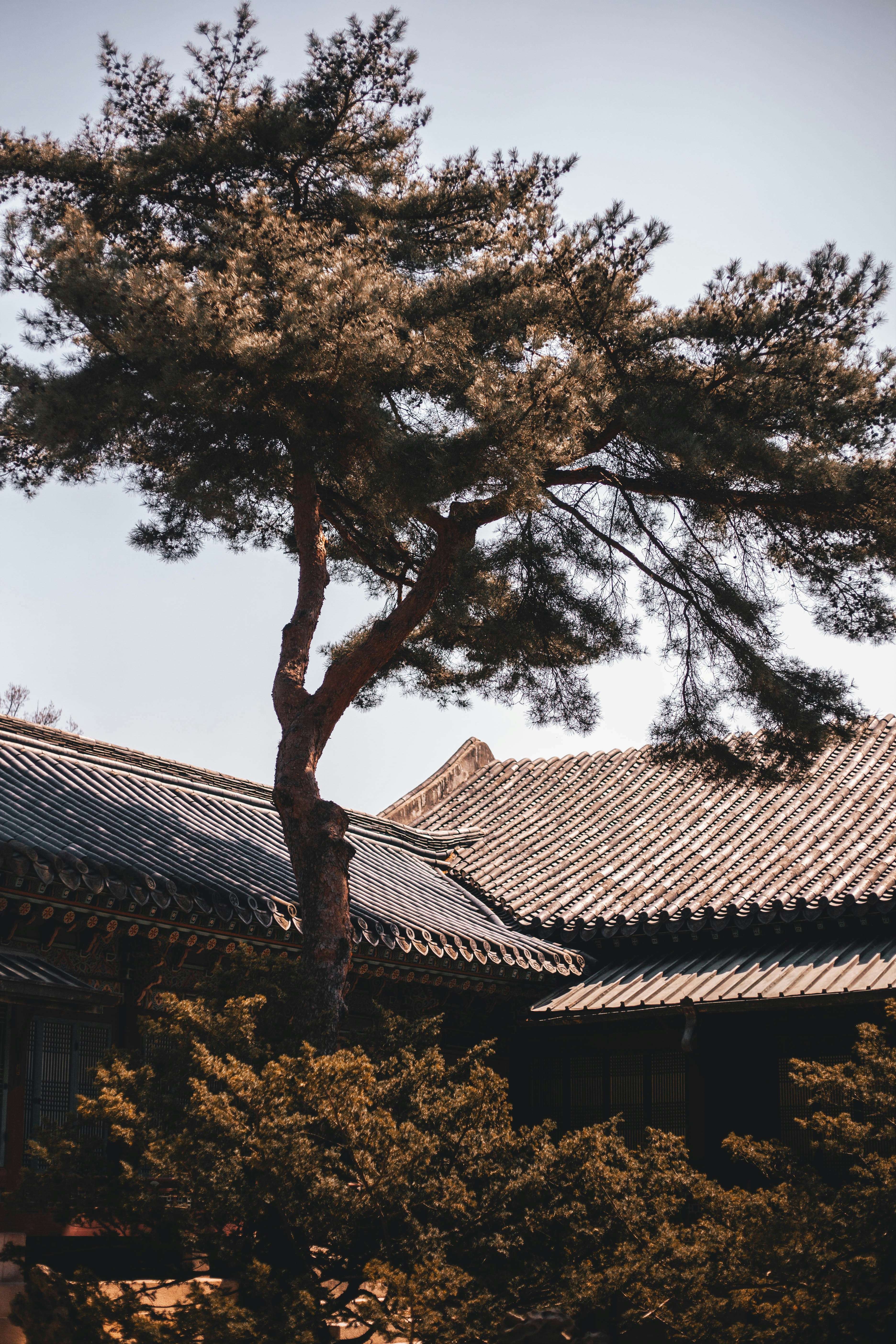 Photo by charlespostiaux