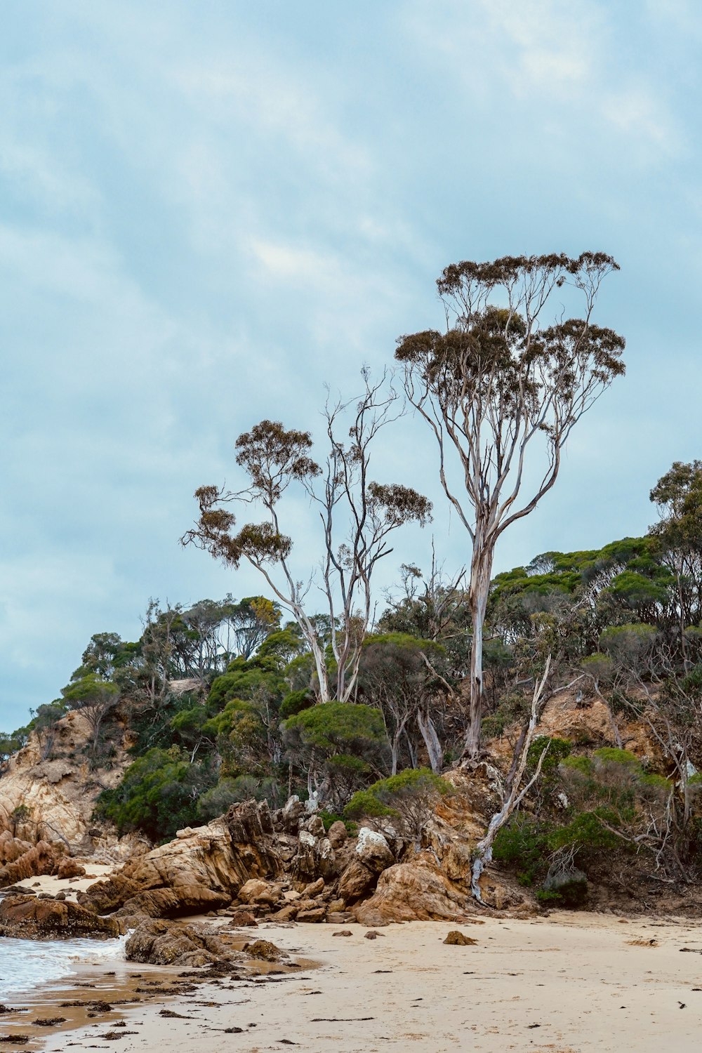 alberi a foglia verde vicino allo specchio d'acqua sotto il cielo nuvoloso