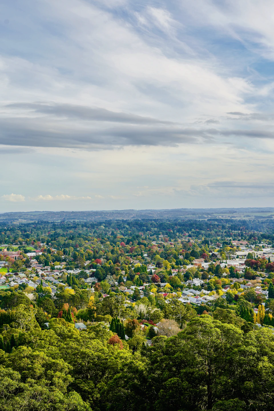 Panoramic view of city amidst lush green trees and rolling hills with diverse buildings