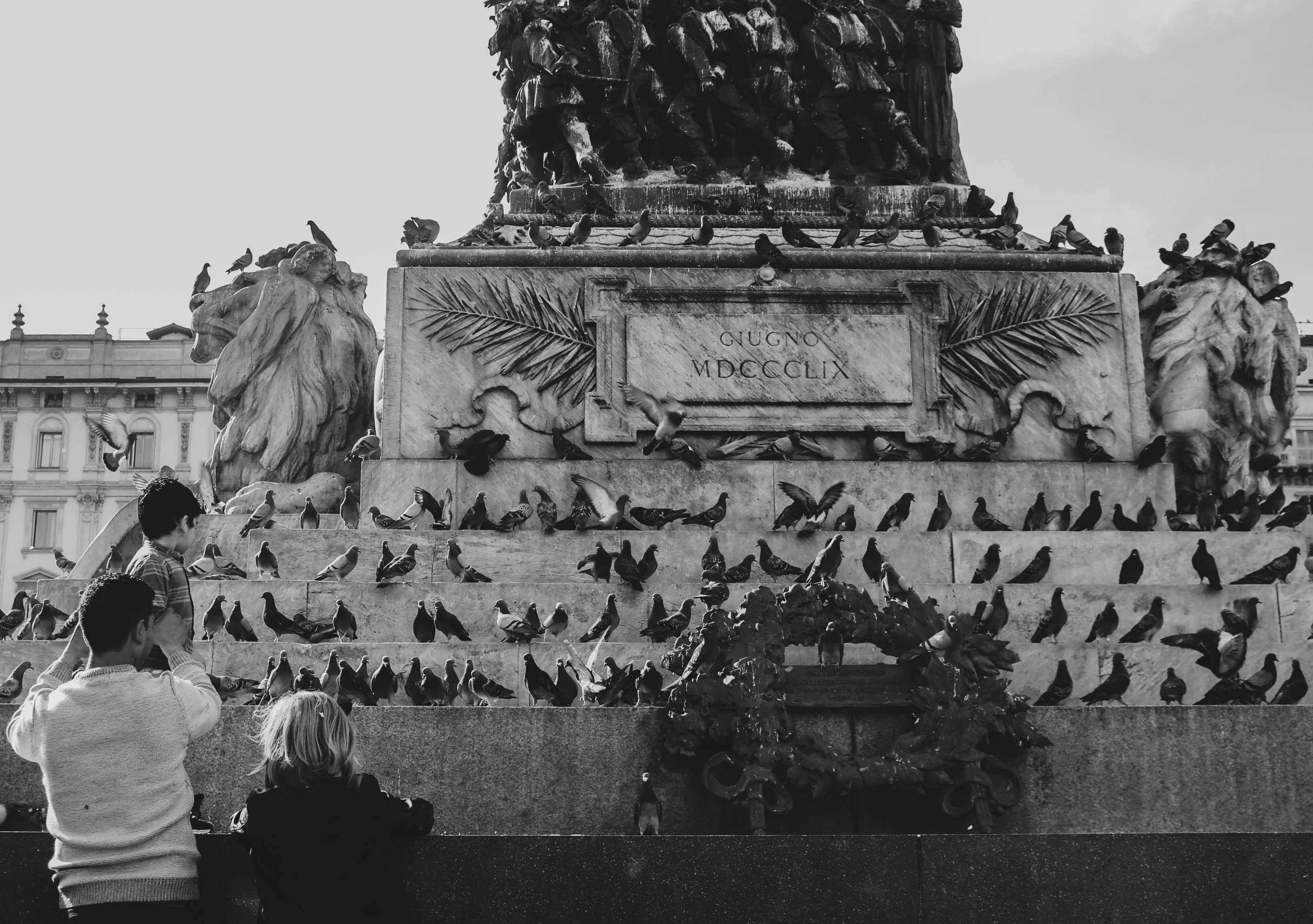 鳥の群れのそばに立って少年を助ける男