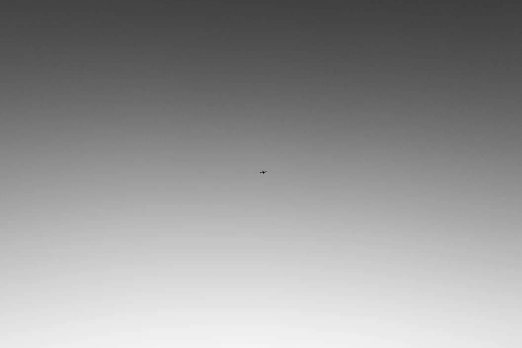 a black and white photo of a bird flying in the sky