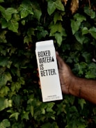 A person's hand holds a carton labeled 'Boxed Water is Better' amidst a backdrop of lush green leaves.