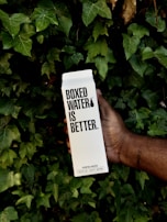A person's hand holds a carton labeled 'Boxed Water is Better' amidst a backdrop of lush green leaves.