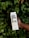 A person's hand holds a carton labeled 'Boxed Water is Better' amidst a backdrop of lush green leaves.