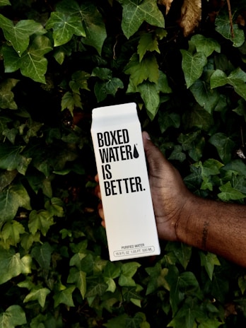 A person's hand holds a carton labeled 'Boxed Water is Better' amidst a backdrop of lush green leaves.