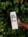 A person's hand holds a carton labeled 'Boxed Water is Better' amidst a backdrop of lush green leaves.