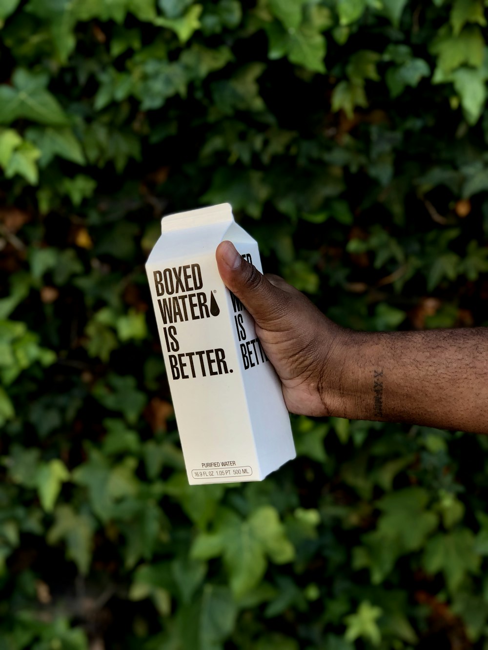person holding boxed water is better pack