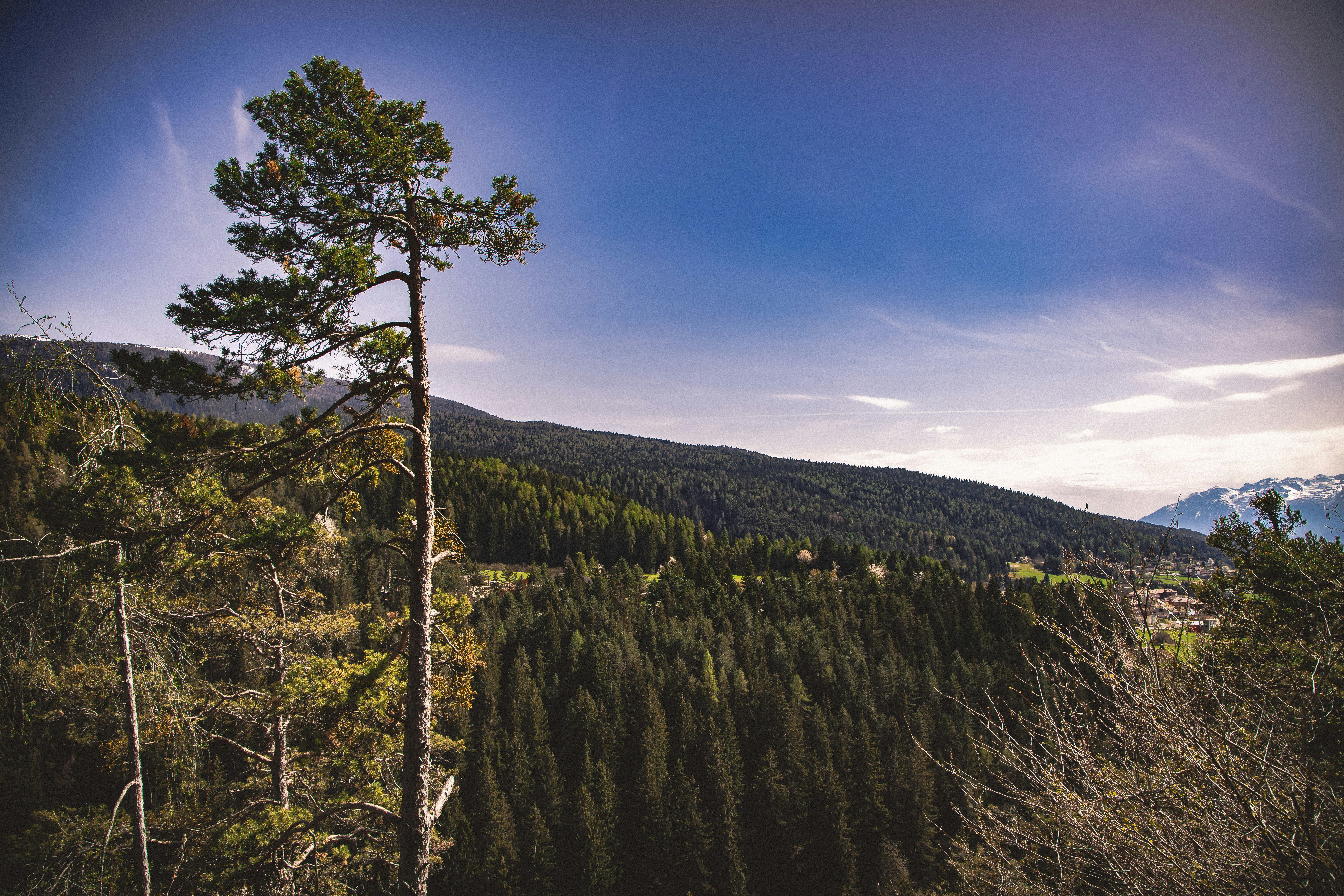 Photo by alessiozaccaria