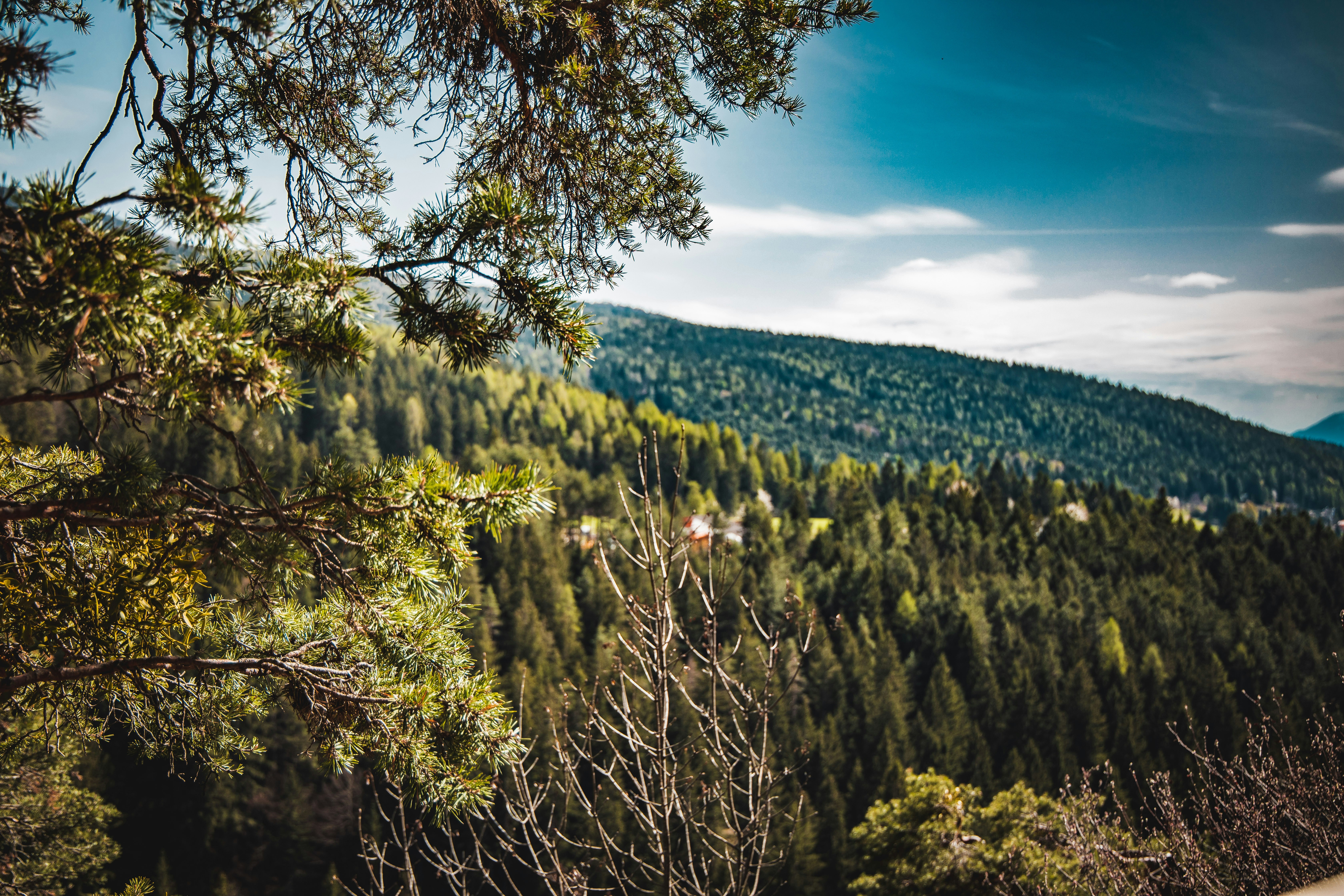 Photo by alessiozaccaria