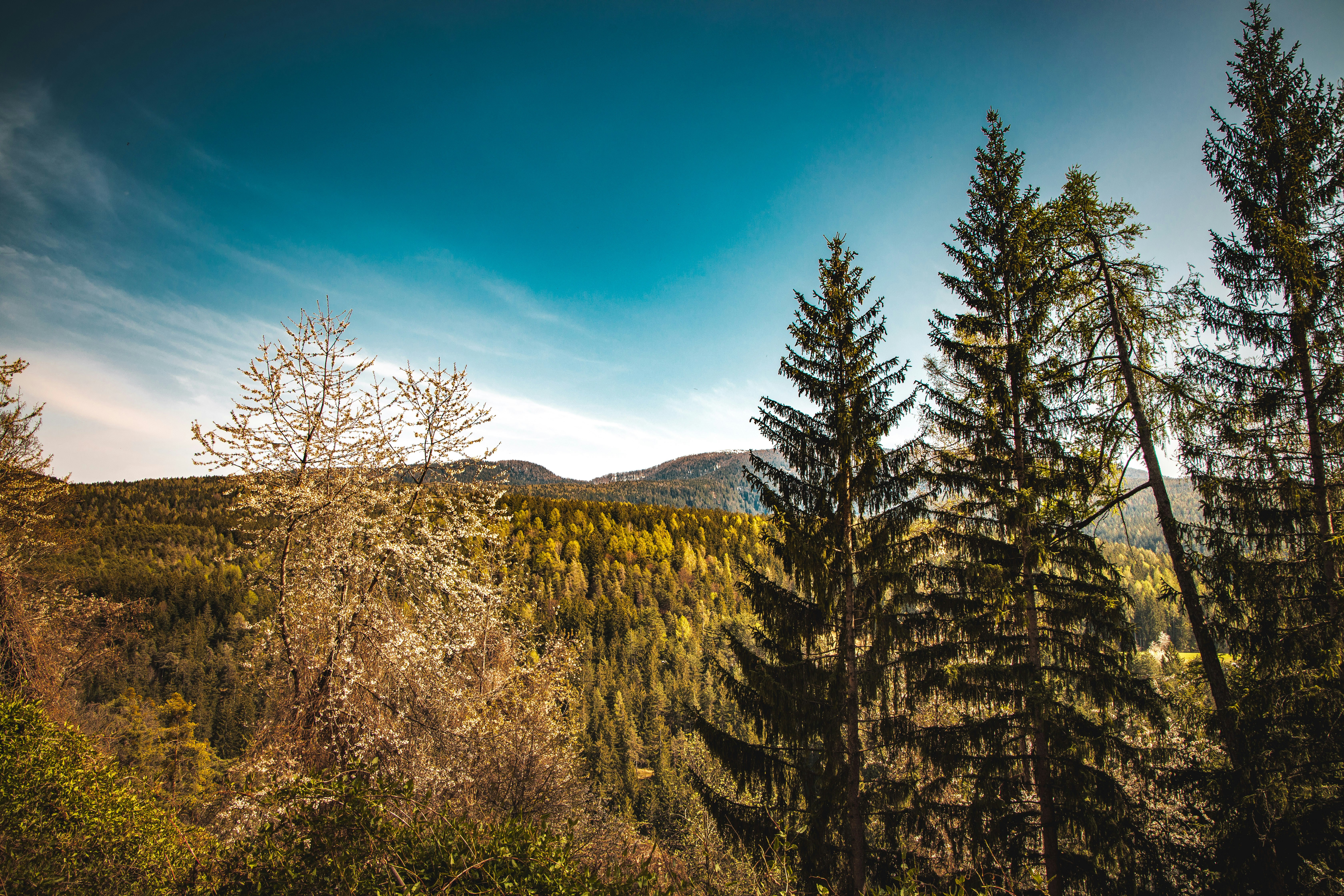 Photo by alessiozaccaria