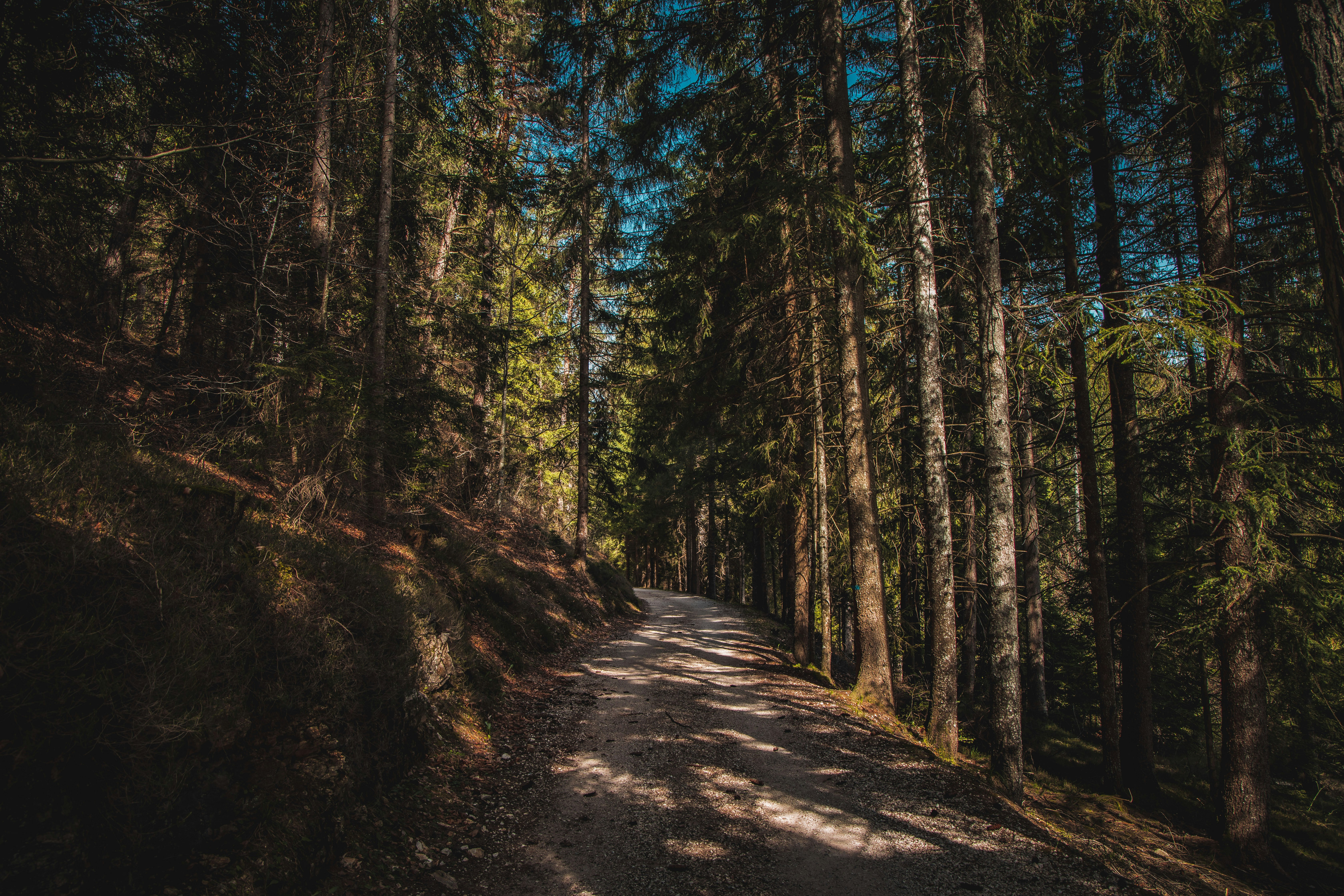 Photo by alessiozaccaria