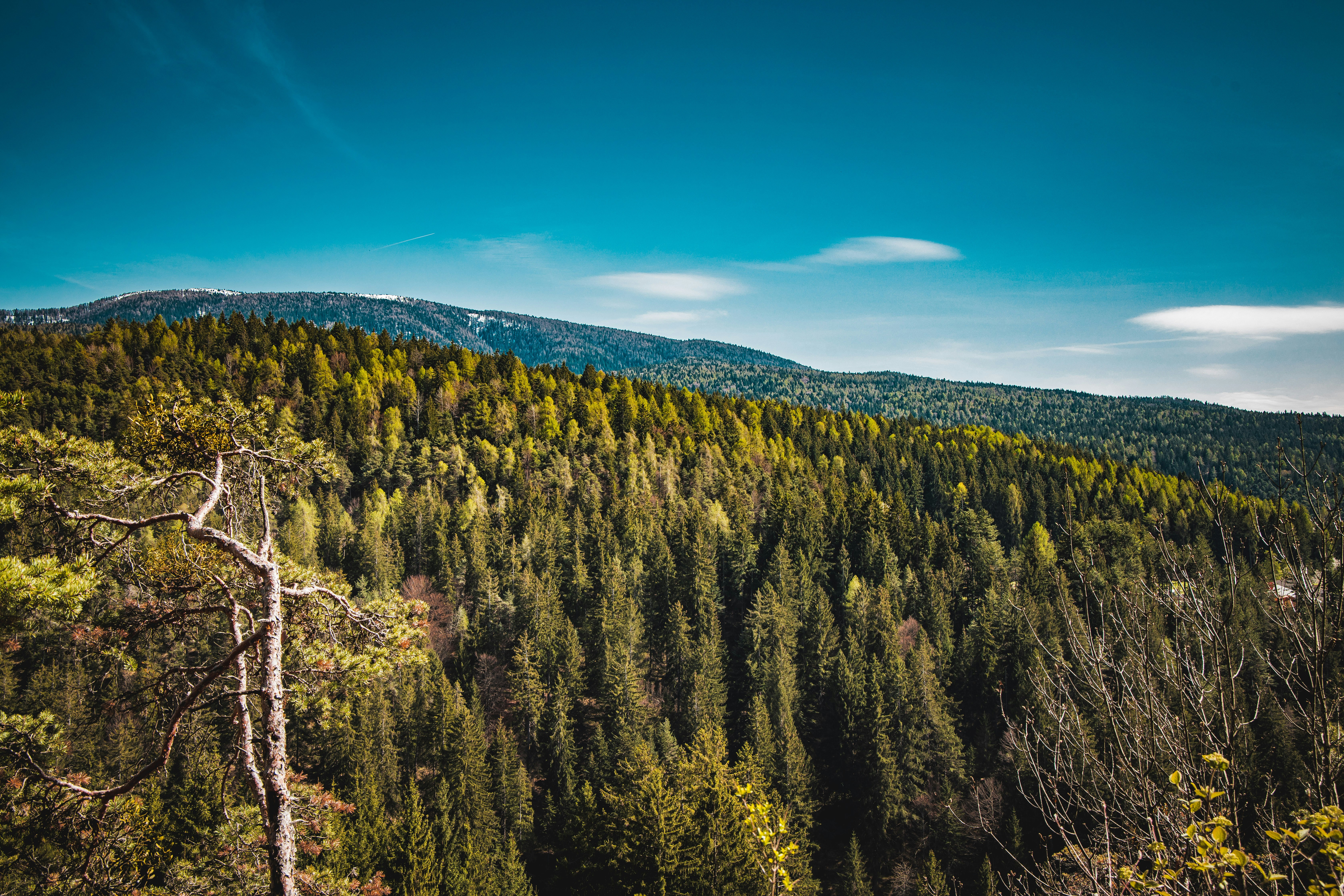 Photo by alessiozaccaria