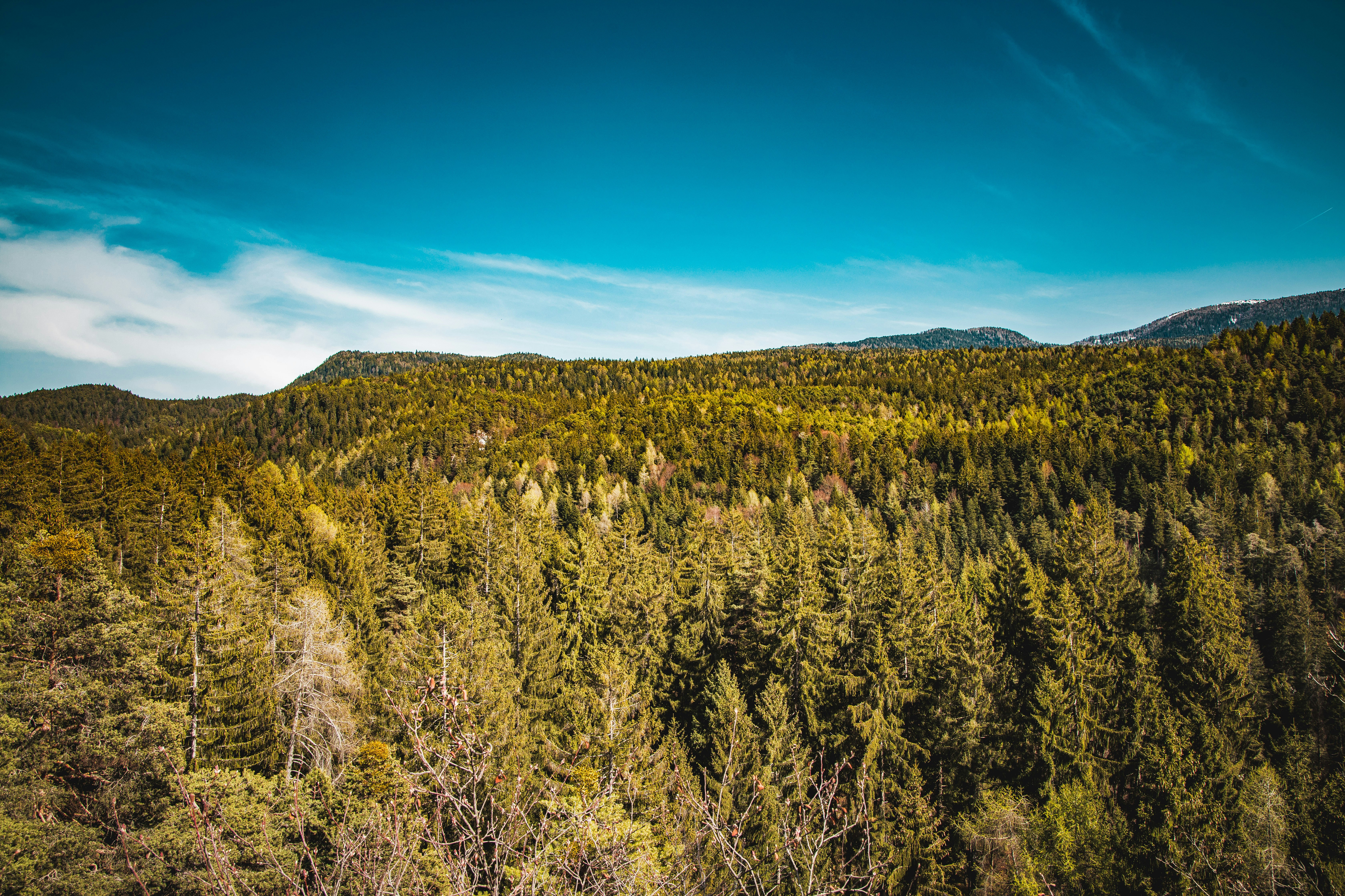 Photo by alessiozaccaria