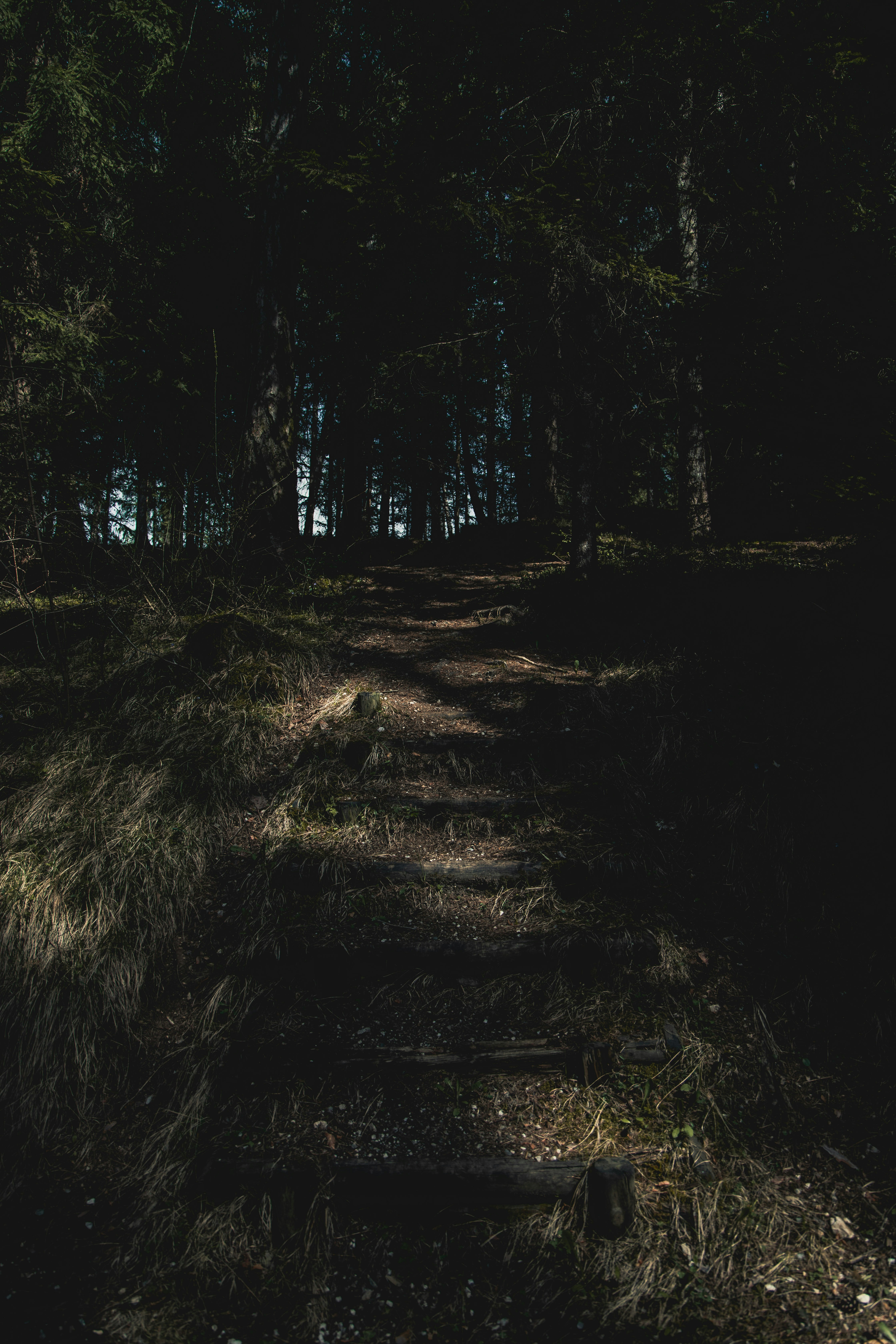 Photo by alessiozaccaria