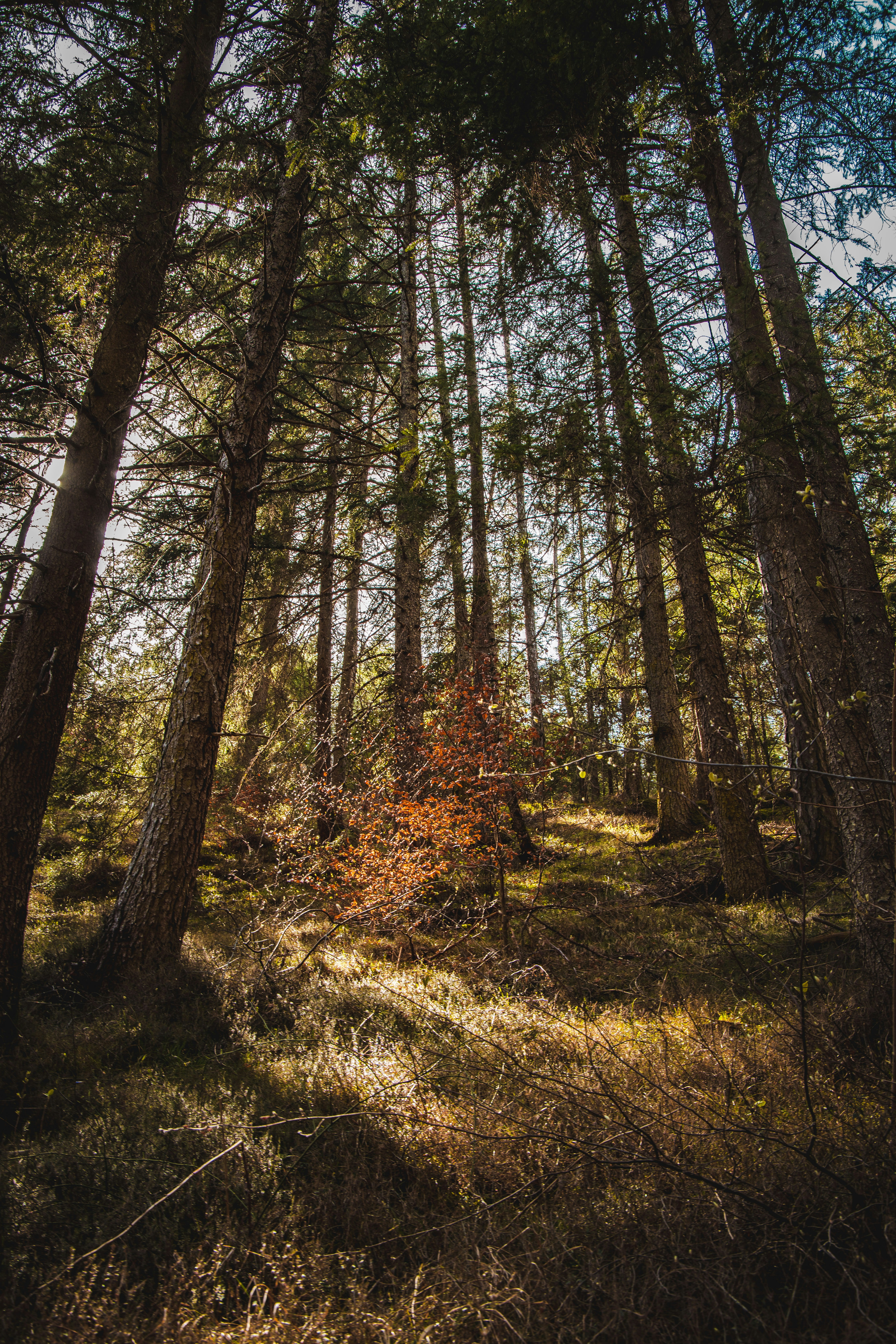 Photo by alessiozaccaria