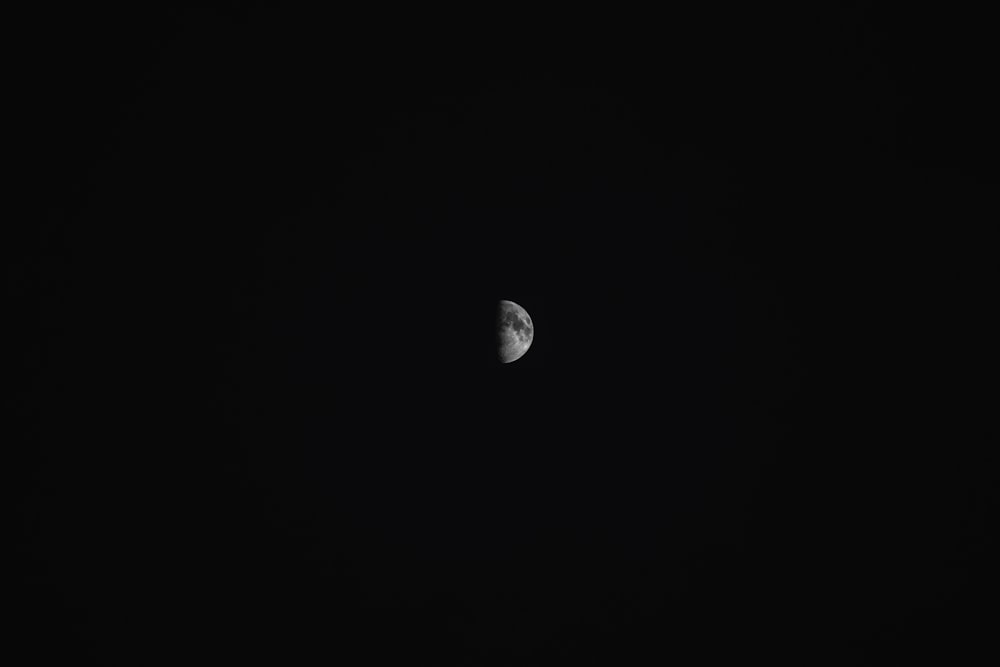 half moon photo